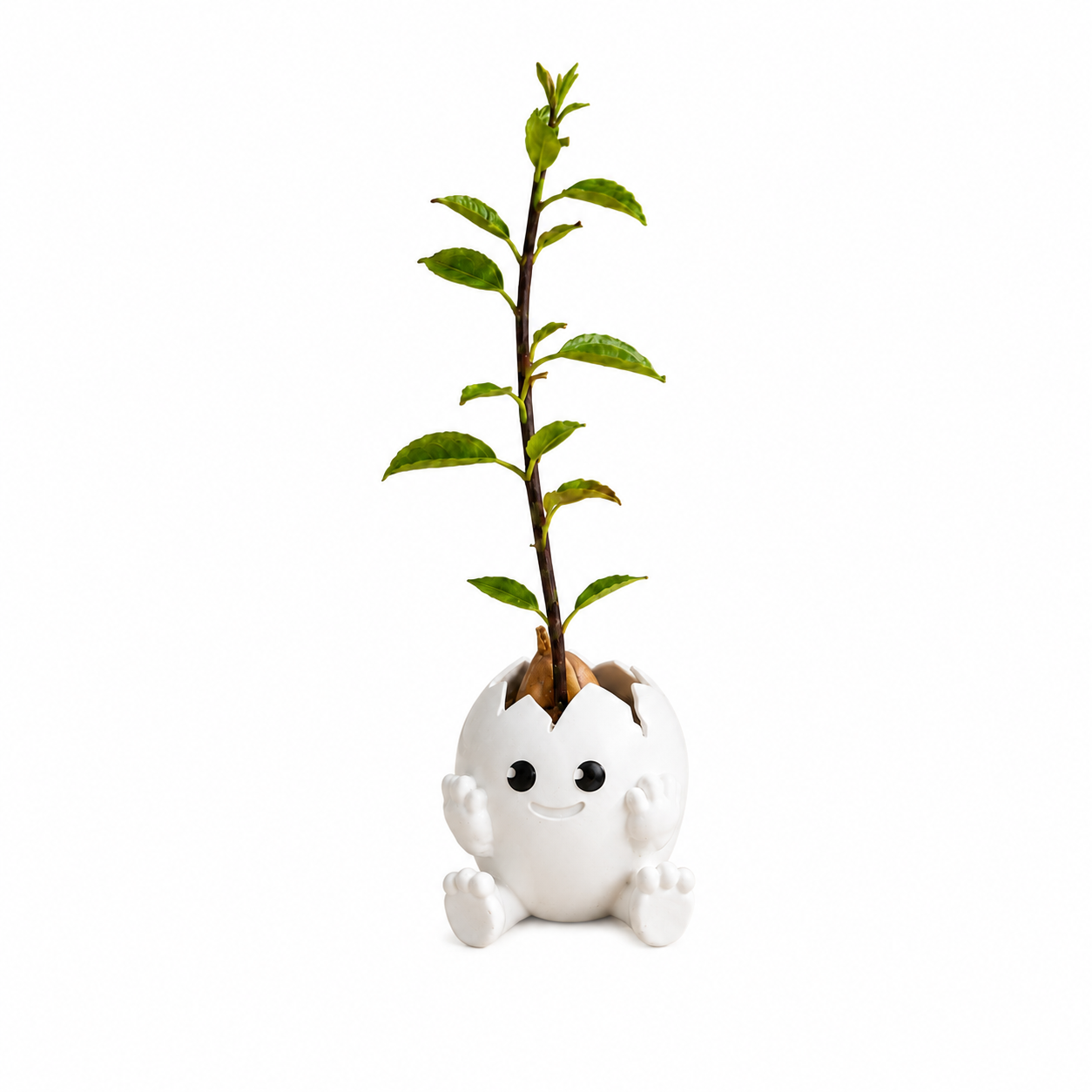 95246672-cefc-4f90-9954-7ad80d37f52a.png